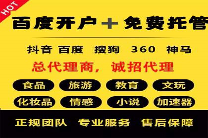 成功托管SEM竞价，实现品牌快速曝光